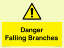danger-falling-branches~